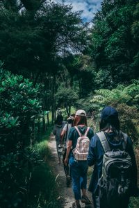 Nigeria road trip