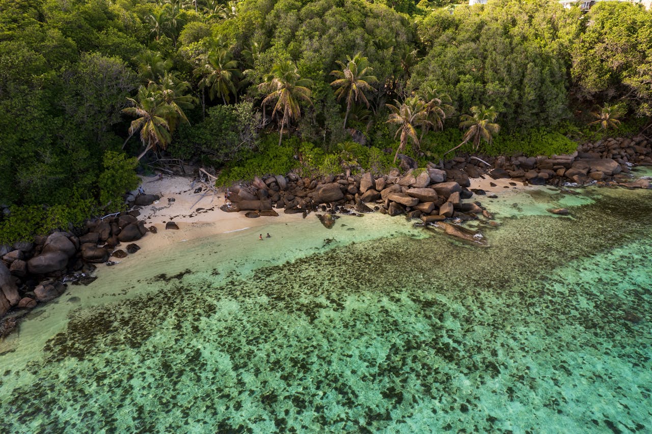 Southern Coast