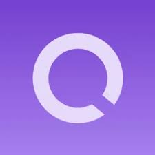 qubit network